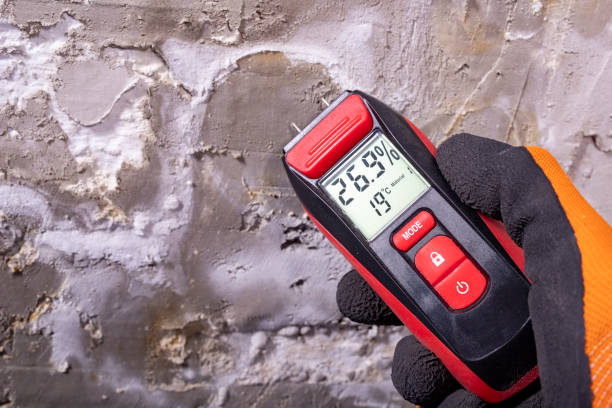 Best Crawl Space Mold Remediation in Nashwauk, MN