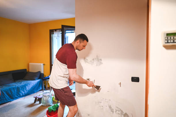 Best Mold Testing and Inspection Services in Nashwauk, MN